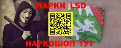 прущие грибы Краснодар