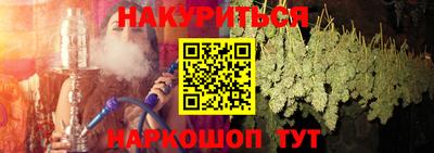 прущие грибы Краснодар
