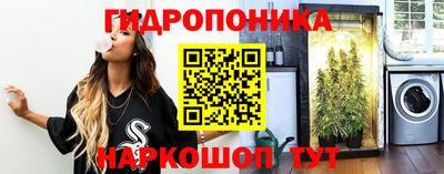 прущие грибы Краснодар