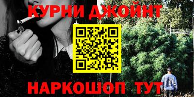 прущие грибы Краснодар