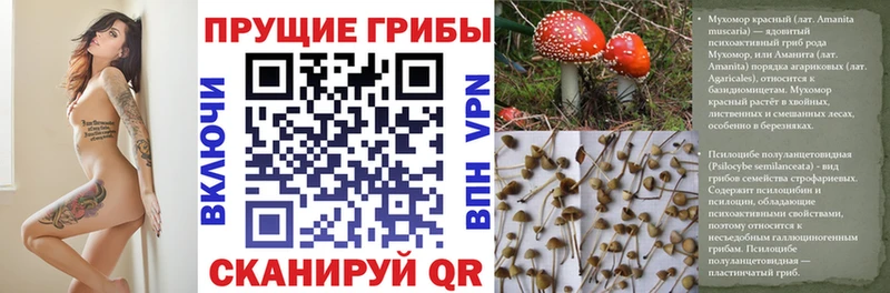 Галлюциногенные грибы мухоморы  закладки  Юрга 