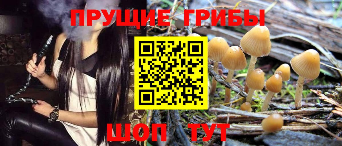 Галлюциногенные грибы GOLDEN TEACHER Юрга