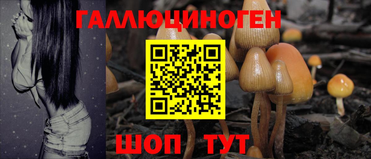 Юрга  Псилоцибиновые грибы Cubensis  Галлюциногенные грибы прущие грибы  Вход с VPN 